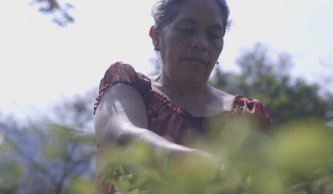 María, la defensora de la tierra